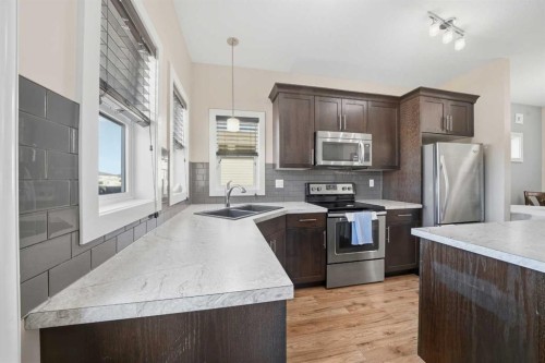22 Mackenzie Ranch Way, Lacombe, AB - Indoor Photo Showing Kitchen With Double Sink With Upgraded Kitchen