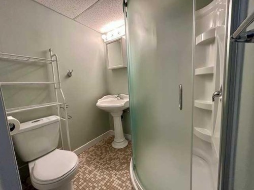 5036 51 Ave, Bashaw, AB - Indoor Photo Showing Bathroom