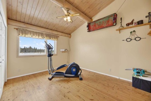 3-32460 Range Road 61, Rural Mountain View County, AB - Indoor Photo Showing Gym Room