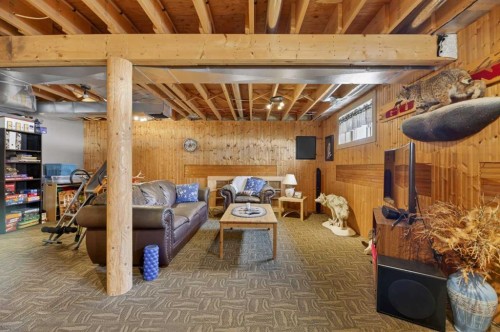 3-32460 Range Road 61, Rural Mountain View County, AB - Indoor Photo Showing Basement