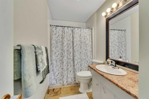 31 Mitchell Avenue, Red Deer, AB - Indoor Photo Showing Bathroom