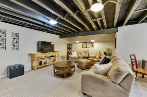 31 Mitchell Avenue, Red Deer, AB - Indoor Photo Showing Basement