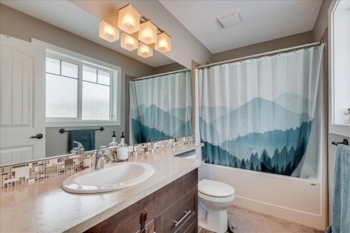 10 Artemis Place, Blackfalds, AB - Indoor Photo Showing Bathroom