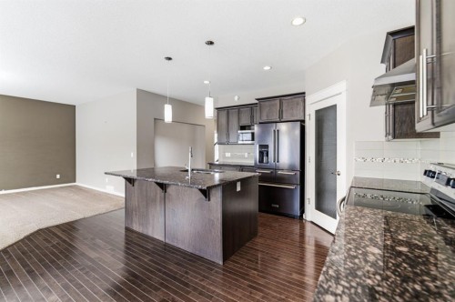 205 Van Slyke Way, Red Deer, AB 