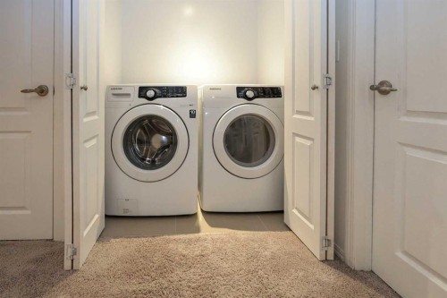 608-30 Carleton Avenue, Red Deer, AB - Indoor Photo Showing Laundry Room