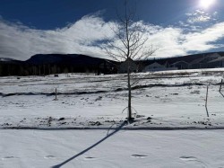 425 LILY Avenue  Nordegg, AB T0M 2H0