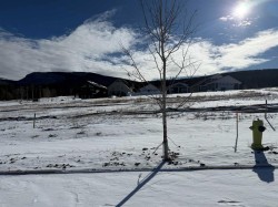 429 LILY Avenue  Nordegg, AB T0M 2H0