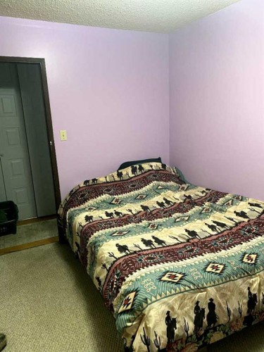5301 50 Avenue, Castor, AB 