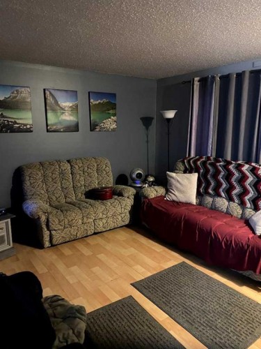 5301 50 Avenue, Castor, AB 