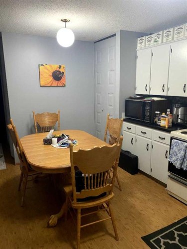 5301 50 Avenue, Castor, AB 