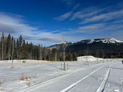 400 LILY Avenue  Nordegg, AB T0M 2H0