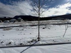 449 LILY Avenue  Nordegg, AB T0M 2H0