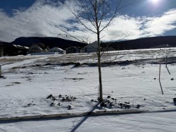 437 LILY Avenue  Nordegg, AB T0M 2H0