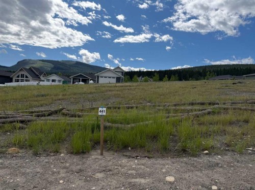 441 Lily Avenue, Nordegg, AB 
