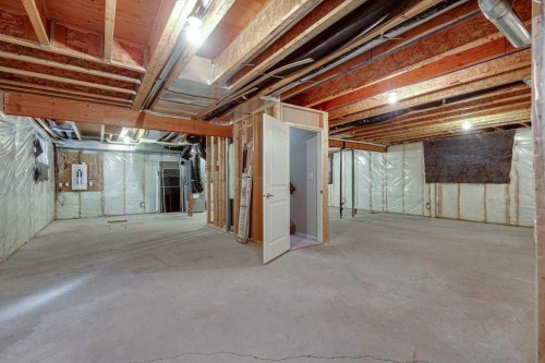 9 Assinger Avenue, Red Deer, AB - Indoor Photo Showing Basement