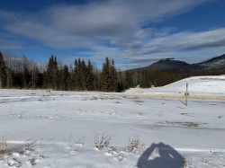 428 LILY Avenue  Nordegg, AB T0M 2H0