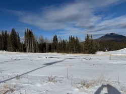 432 LILY Avenue  Nordegg, AB T0M 2H0