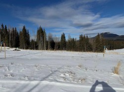 436 LILY Avenue  Nordegg, AB T0M 2H0