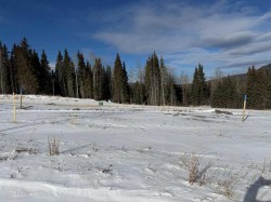 440 LILY Avenue  Nordegg, AB T0M 2H0