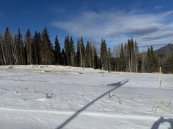 448 LILY Avenue  Nordegg, AB T0M 2H0