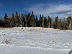 452 LILY Avenue  Nordegg, AB T0M 2H0