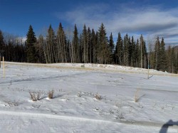 456 LILY Avenue  Nordegg, AB T0M 2H0