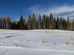 460 LILY Avenue  Nordegg, AB T0M 2H0