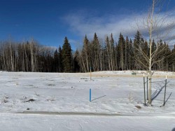 464 LILY Avenue  Nordegg, AB T0M 2H0