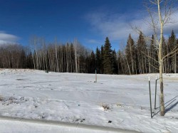 468 LILY Avenue  Nordegg, AB T0M 2H0