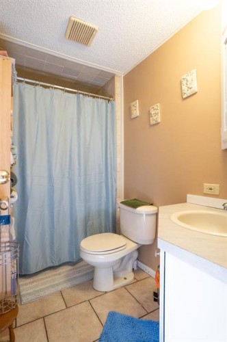 5027 54 Avenue, Bashaw, AB - Indoor Photo Showing Bathroom