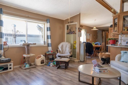 5027 54 Avenue, Bashaw, AB - Indoor Photo Showing Living Room