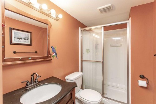 34 Iron Wolf Ridge, Lacombe, AB - Indoor Photo Showing Bathroom