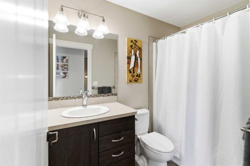 19 Vanveller Way, Sylvan Lake, AB - Indoor Photo Showing Bathroom