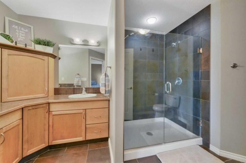55 Carter Close, Red Deer, AB - Indoor Photo Showing Bathroom