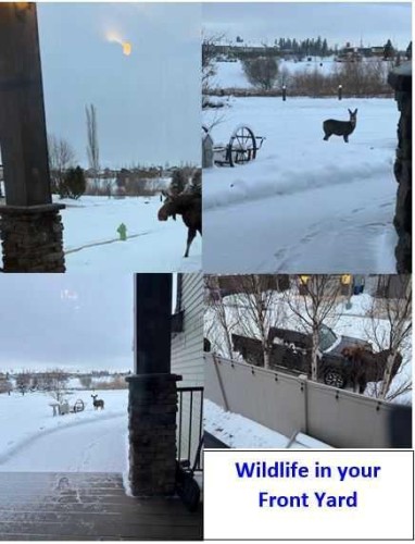 55 Carter Close, Red Deer, AB - Outdoor With View