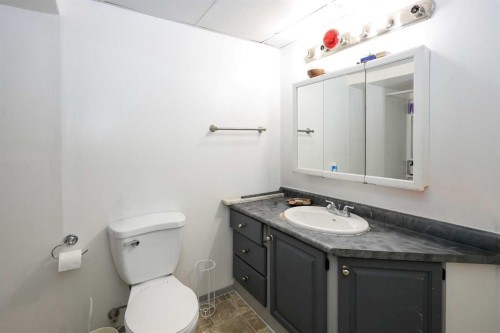 49 Overdown Drive, Red Deer, AB - Indoor Photo Showing Bathroom