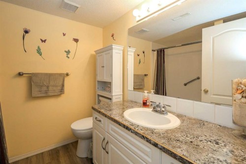 16 Durand Crescent, Red Deer, AB - Indoor Photo Showing Bathroom