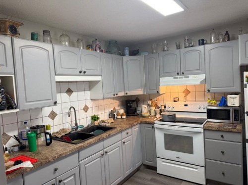 6320 Hewson Avenue, Red Deer, AB - Indoor Photo Showing Kitchen With Double Sink