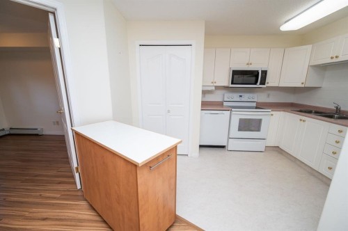 233-56 Carroll Crescent, Red Deer, AB - Indoor Photo Showing Kitchen With Double Sink