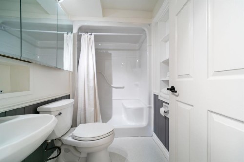 45217 Range Road 202, Rural Camrose County, AB - Indoor Photo Showing Bathroom