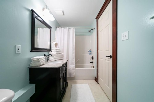 45217 Range Road 202, Rural Camrose County, AB - Indoor Photo Showing Bathroom
