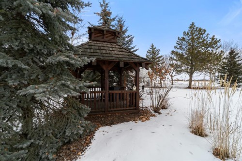 45217 Range Road 202, Rural Camrose County, AB - Outdoor