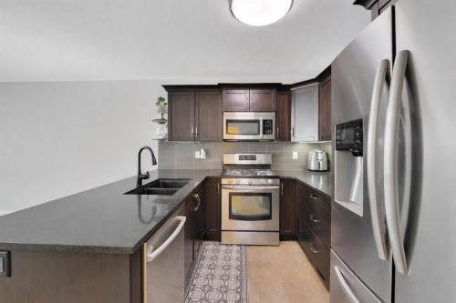 74 Van Slyke Way, Red Deer, AB - Indoor Photo Showing Kitchen With Double Sink With Upgraded Kitchen