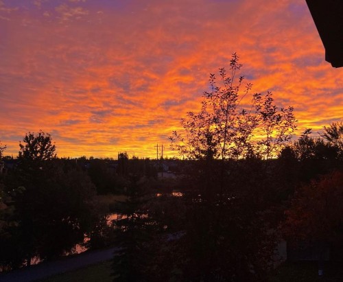 77 Pondside Crescent, Blackfalds, AB - Outdoor With View