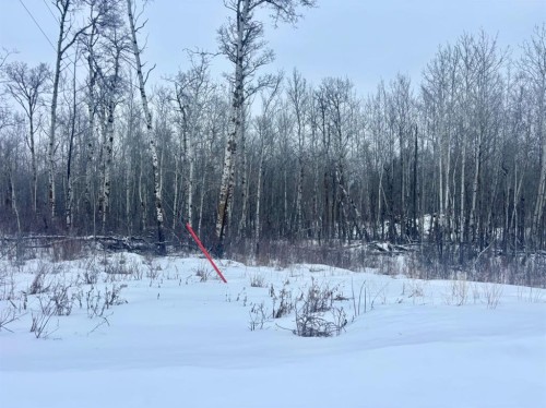 26 50220 204 Range, Rural Beaver County, AB 