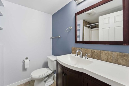 110 Terrace Park, Red Deer, AB - Indoor Photo Showing Bathroom