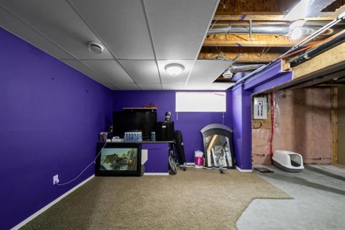 5809 28 Avenue, Camrose, AB - Indoor Photo Showing Basement