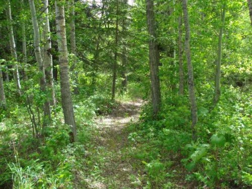 77 Crystal Springs Drive, Crystal Springs, AB 