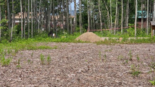 77 Crystal Springs Drive, Crystal Springs, AB 
