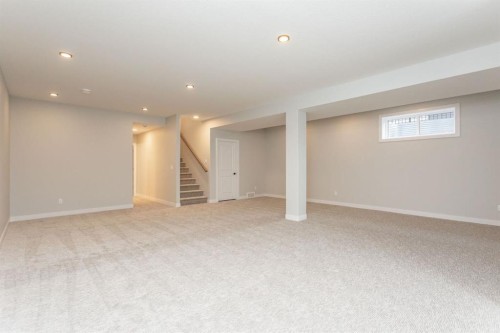 17 Tindale Place, Red Deer, AB - Indoor Photo Showing Basement